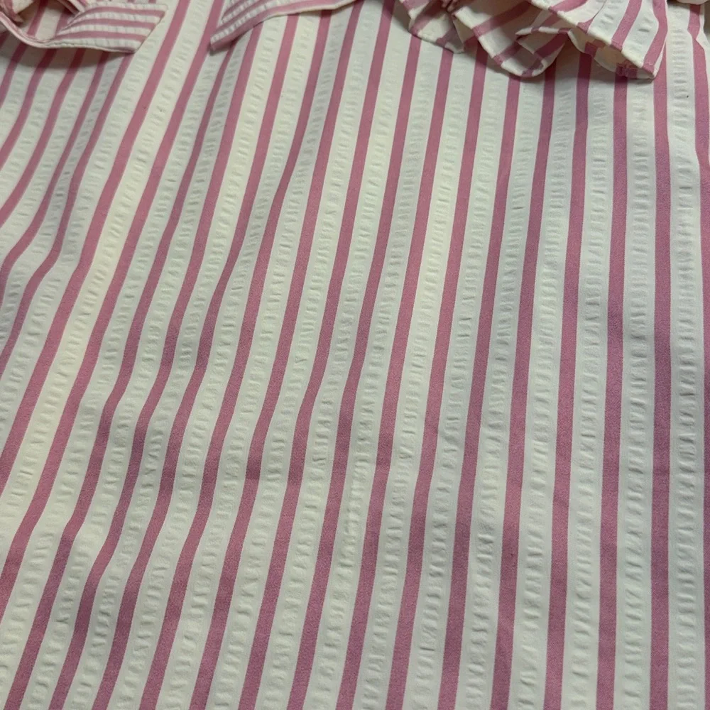 Entro White & Pink Stripe SearSucker Mini Dress, Exaggerated Balloon Sleeves - Picture 10 of 16